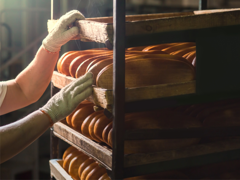 Sabemos que el delicioso pan que preparas generalmente es consumido por tus clientes o tu familia a lo largo de la misma semana de su elaboración, pero también sabemos que…