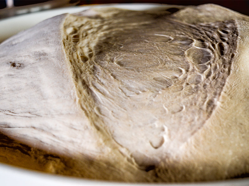 Actualmente los clientes cada vez son más exigentes y prefieren el sabor de un pan fresco y artesanal como lo es el pan elaborado a base de masa madre, compuesto…