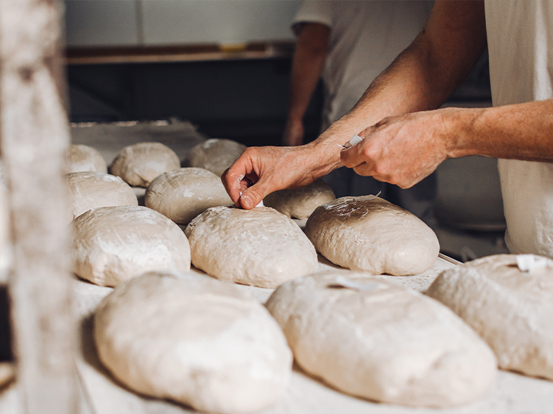 El mundo de la panadería en México y Latinoamérica está experimentando una transformación emocionante en este 2024. Con un enfoque renovado en la salud, la sostenibilidad y la diversidad de…